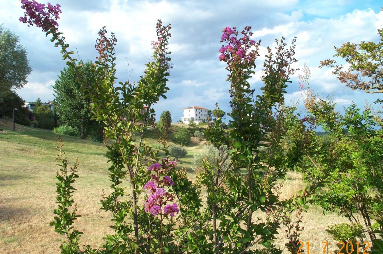 קיאנצ'נו טרמה Villa Marina מראה חיצוני תמונה